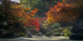 Nouvelles stratégies pour la restauration du tourisme africain