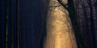 Africa Tourism Monitor 2015 : En hausse, le tourisme en Afrique doit décoller pleinement