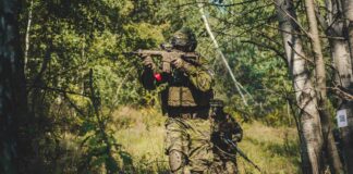 Dévoiler la vie des éléphants de forêt